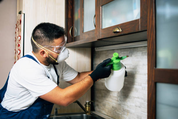 Best Affordable Pest Control Services  in Lovington, NM