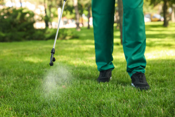 Best Pest Control Near Me in Lovington, NM