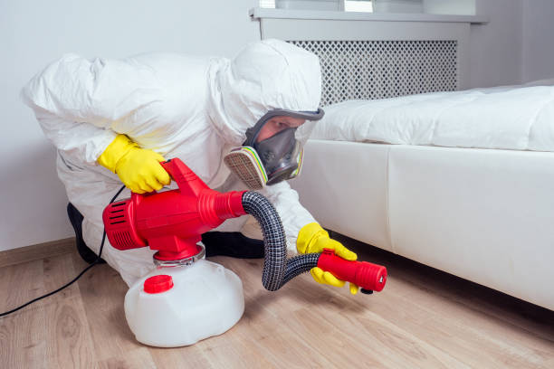 Trusted Lovington, NM Pest Control Experts