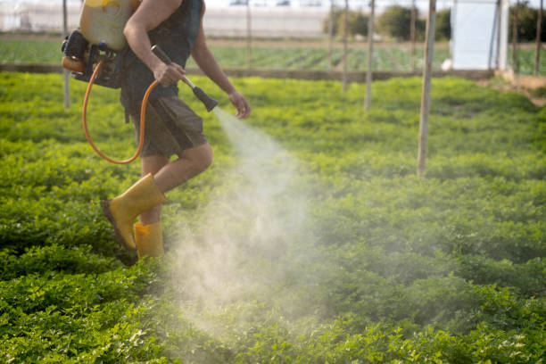  Lovington, NM Pest Control Pros