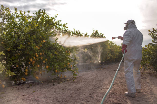 Best Pest Control Near Me  in Lovington, NM